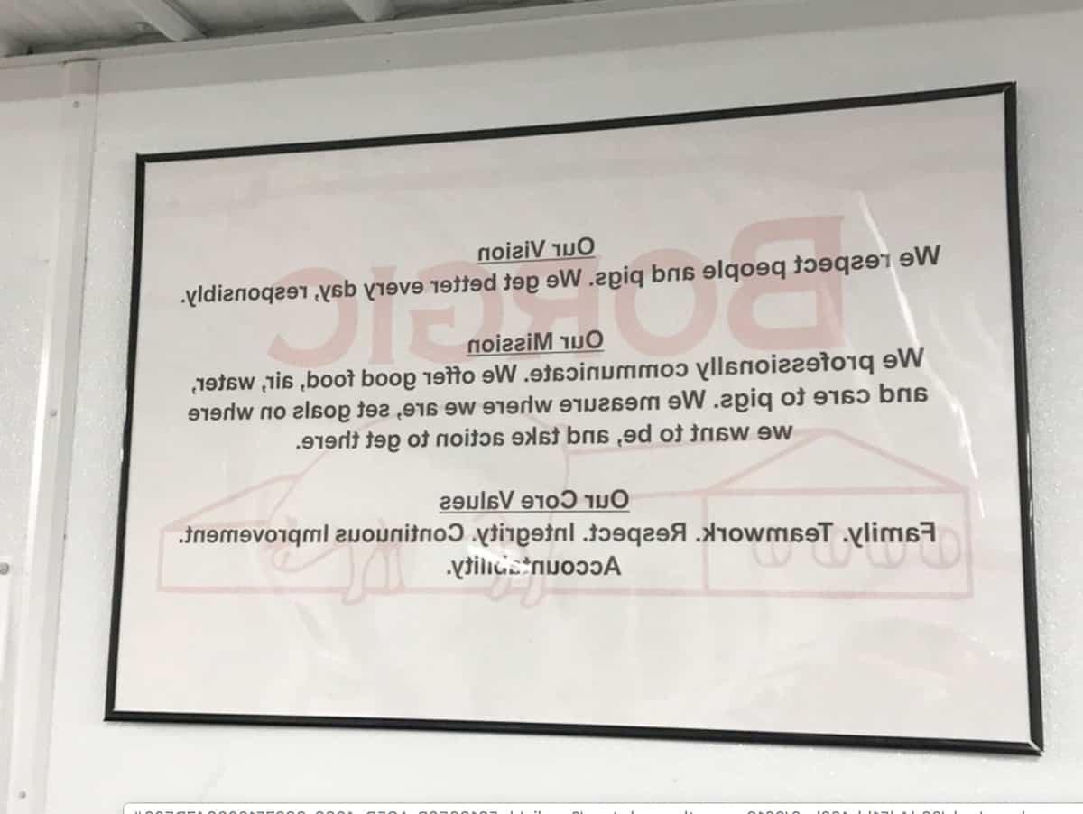 Εύκολες Τηγανητές Χοιρινές Μπριζόλες 2 Βασικές αξίες της φάρμας Borgic