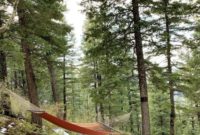 Our Sweet Pre-Baby Escape