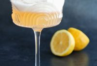 Classic Gin Sour Cocktail