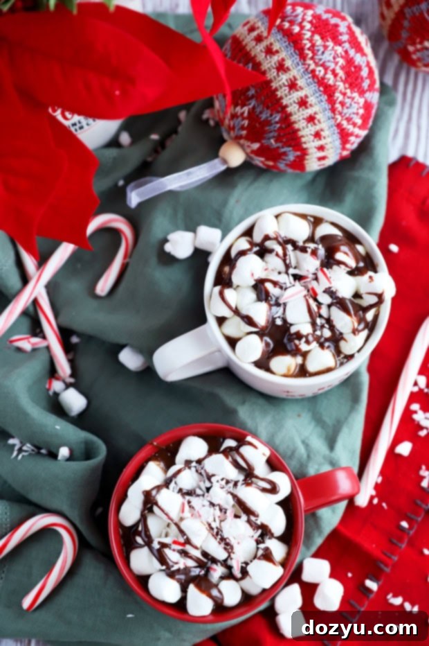 The Ultimate Slow Cooker Hot Chocolate 7 Overhead image of crockpot hot chocolate
