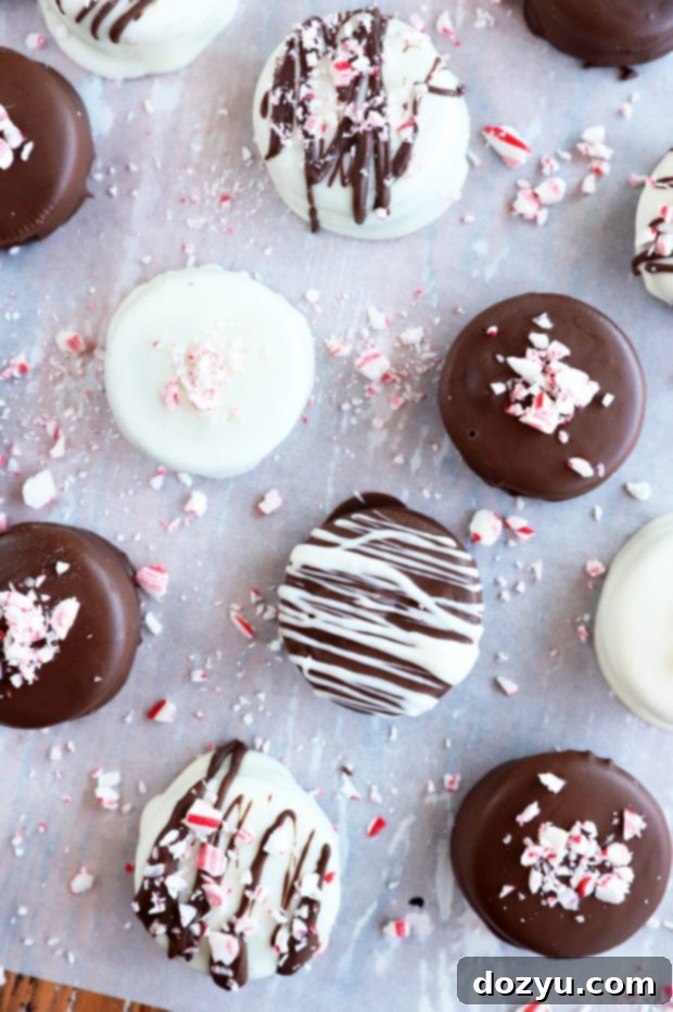 Effortless Chocolate Oreo Treats 5 Close-up of freshly dipped chocolate oreos image, showing a variety of white and dark chocolate options.