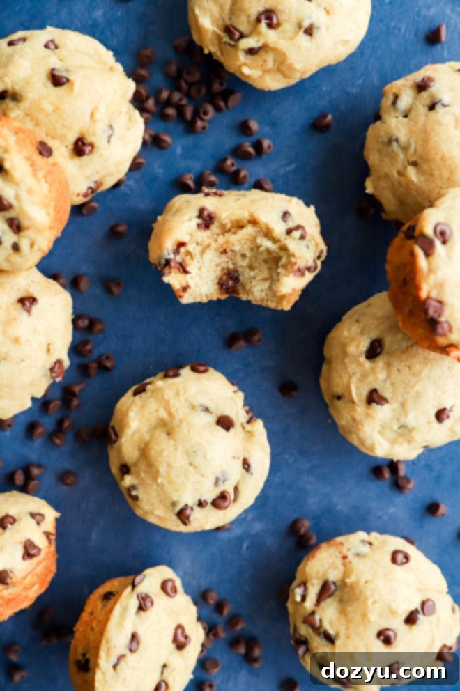 Perfectly Poppable Banana Peanut Butter Chocolate Muffins 2 Close-up of a delicious mini banana peanut butter chocolate chip muffin with a bite taken out, showcasing its moist interior and melted chocolate chips