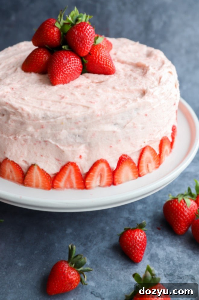 Luscious Chocolate Strawberry Cake 2 Strawberry Chocolate Cake on cake stand with fresh berries picture