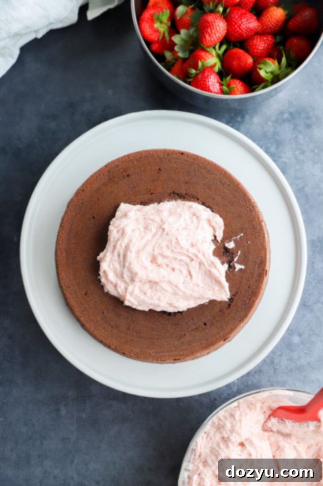 Luscious Chocolate Strawberry Cake 7 img 1553 6