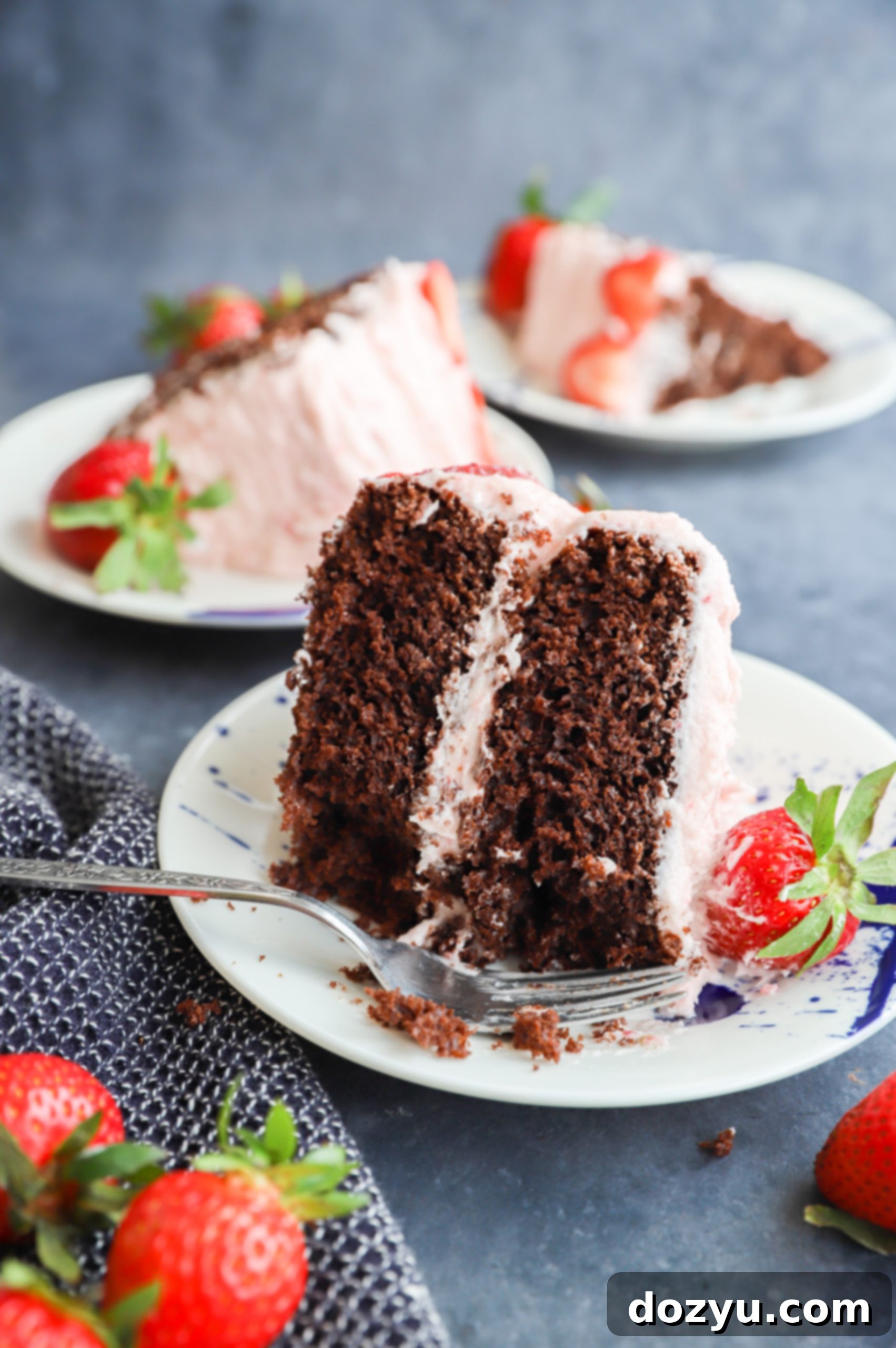 Luscious Chocolate Strawberry Cake 9 Full chocolate strawberry cake decorated with fresh strawberries