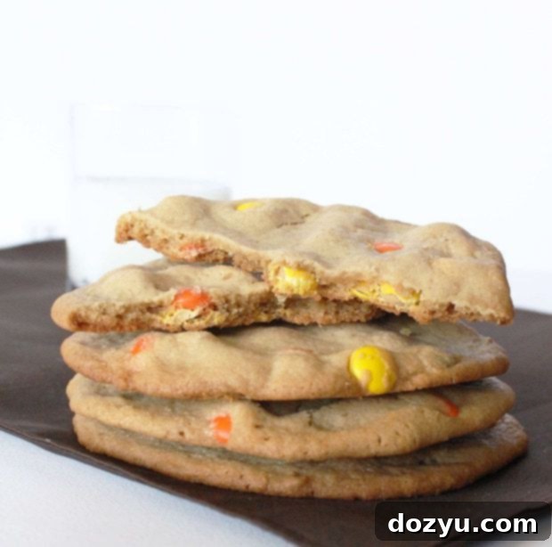 Epic Peanut Butter Cookies 2 Freshly baked peanut butter monster cookie with Reese's Pieces