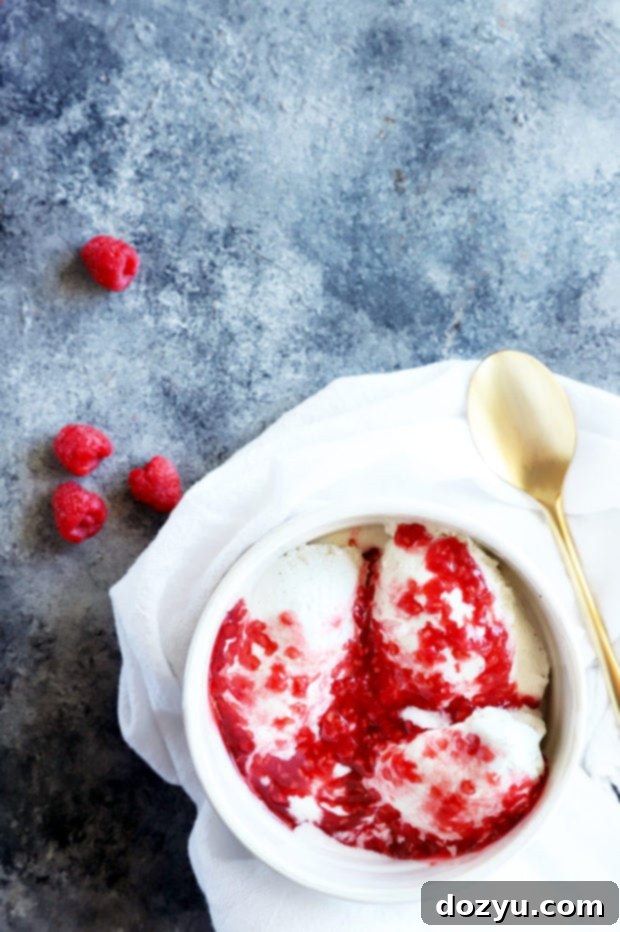 Ruby Raspberry Reduction 5 Overhead photo of raspberry sauce on ice cream
