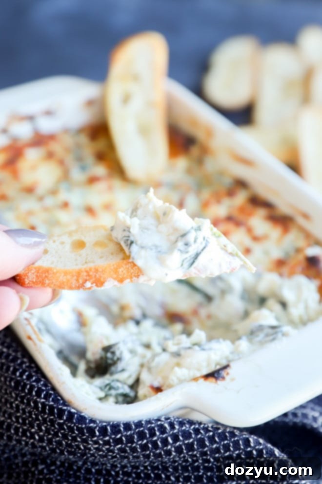 Creamy Spinach and Artichoke Goat Cheese Dip 9 Spinach and artichoke goat cheese dip spread on a slice of toasted bread