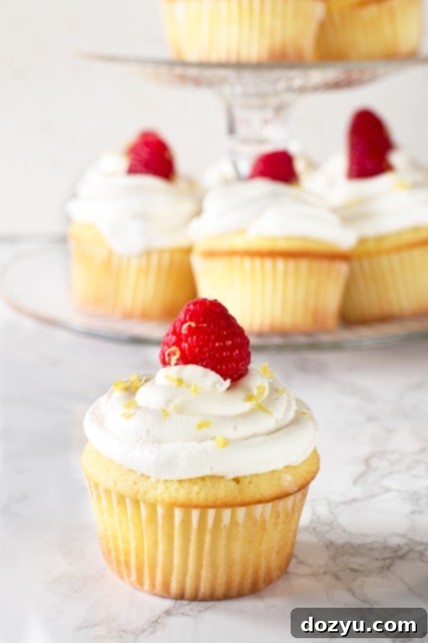 Luscious Lemon Raspberry Cupcakes 2 Close-up of a baked lemon cupcake in a white wrapper, ready for filling and frosting