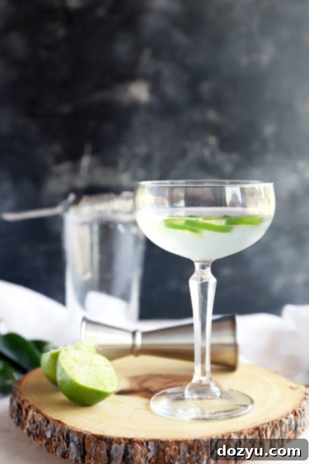 Fiery Jalapeño Gimlet 3 Side photo of gimlet in coupe glass