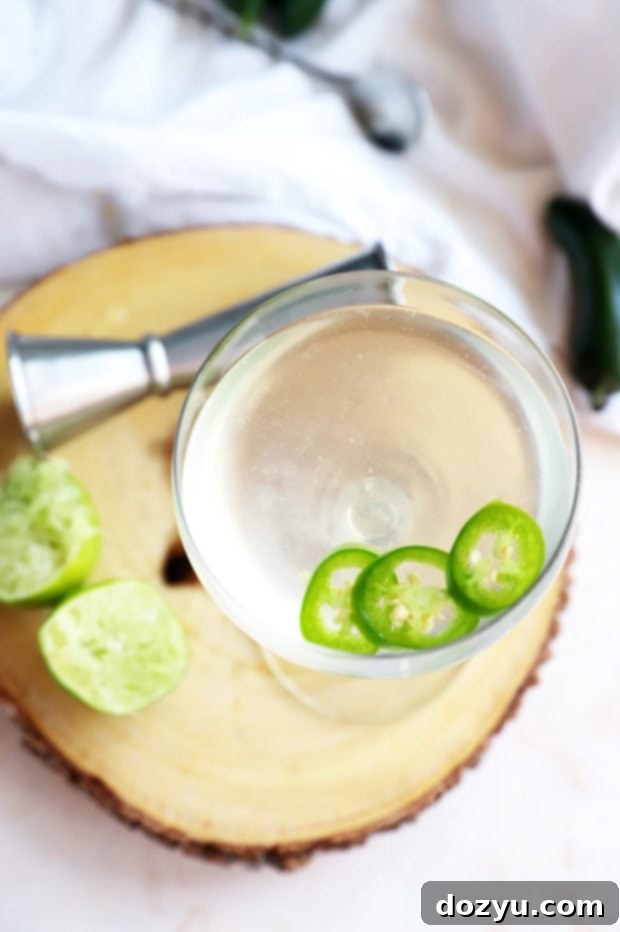 Fiery Jalapeño Gimlet 7 Overhead photo of spicy jalapeno gimlet
