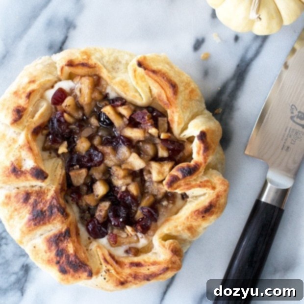 Festive Apple Cranberry Brie 2 Apple Cranberry Baked Brie | cakenknife.com