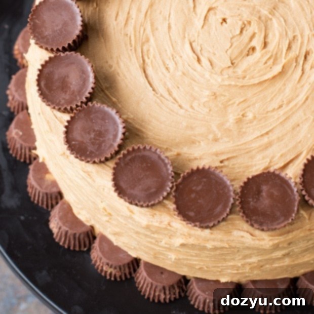 Ultimate Peanut Butter Cup Cake 2 Peanut Butter Cup Overload Cake Recipe | cakenknife.com