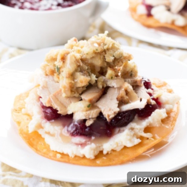 Reimagined Thanksgiving Tostadas 2 Thanksgiving Leftovers Tostadas | cakenknife.com