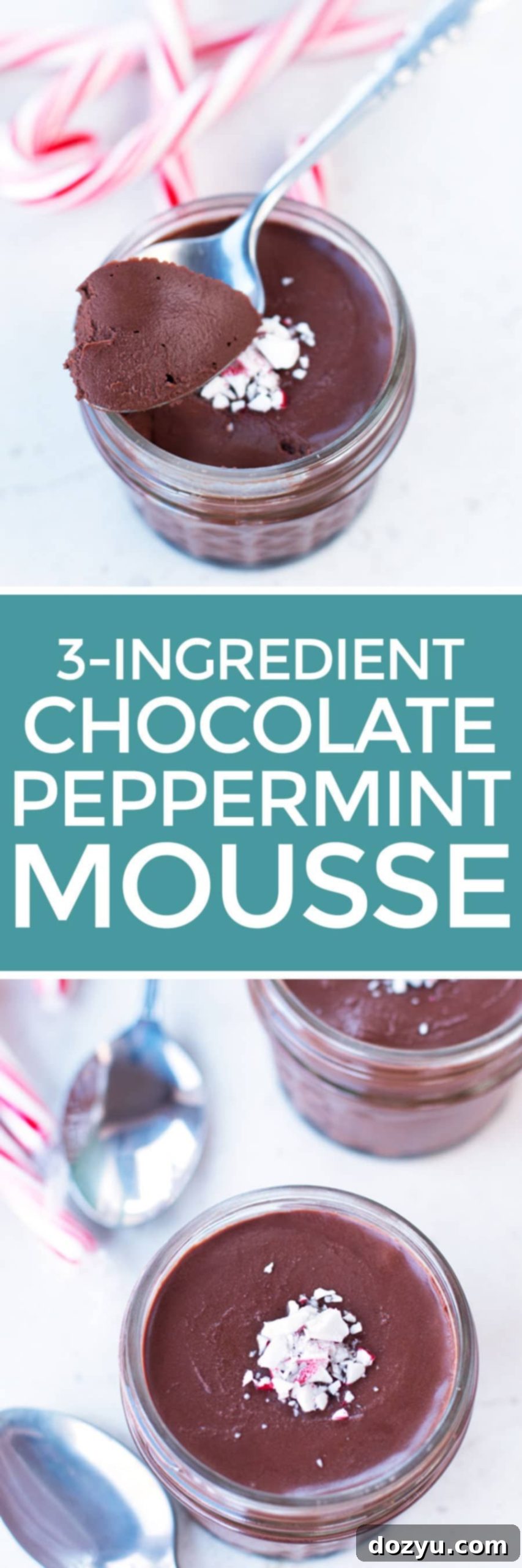 Pin for later: 3-Ingredient Dark Chocolate Peppermint Mousse | cakenknife.com