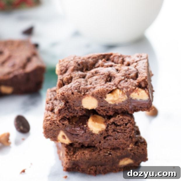 Irresistible Chewy Double Chocolate Peanut Butter Cookie Bars 3 Delicious Chewy Double Chocolate Peanut Butter Cookie Bars, ready to be enjoyed.