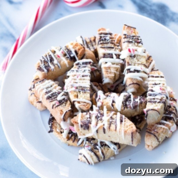 Gourmet Peppermint Chocolate Chip Biscotti 7 Peppermint Chocolate Chip Biscotti | cakenknife.com thumbnail