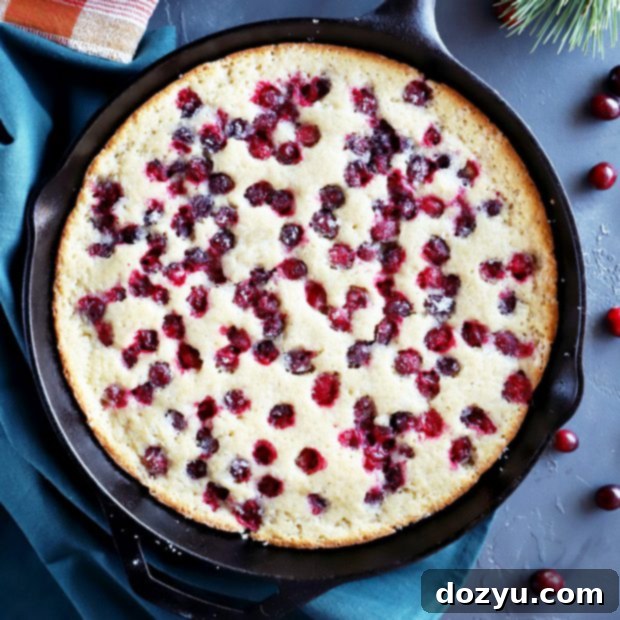 Festive Cranberry Cobbler 9 Thumbnail image of cranberry cobbler