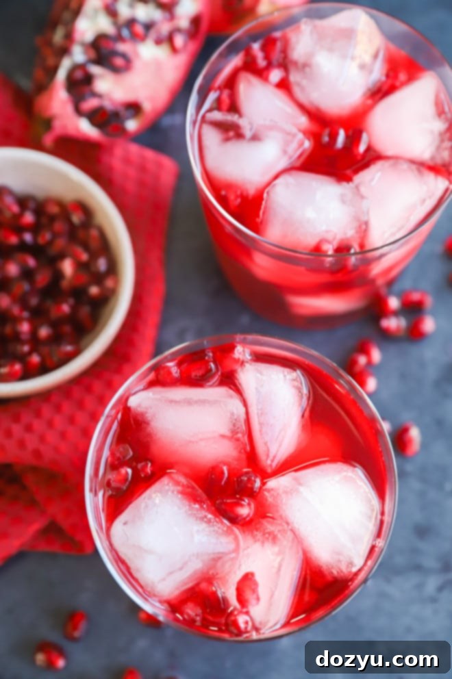 The Pomegranate Negroni 2 Two glasses of Pomegranate Negroni garnished with pomegranate seeds, ready to serve.