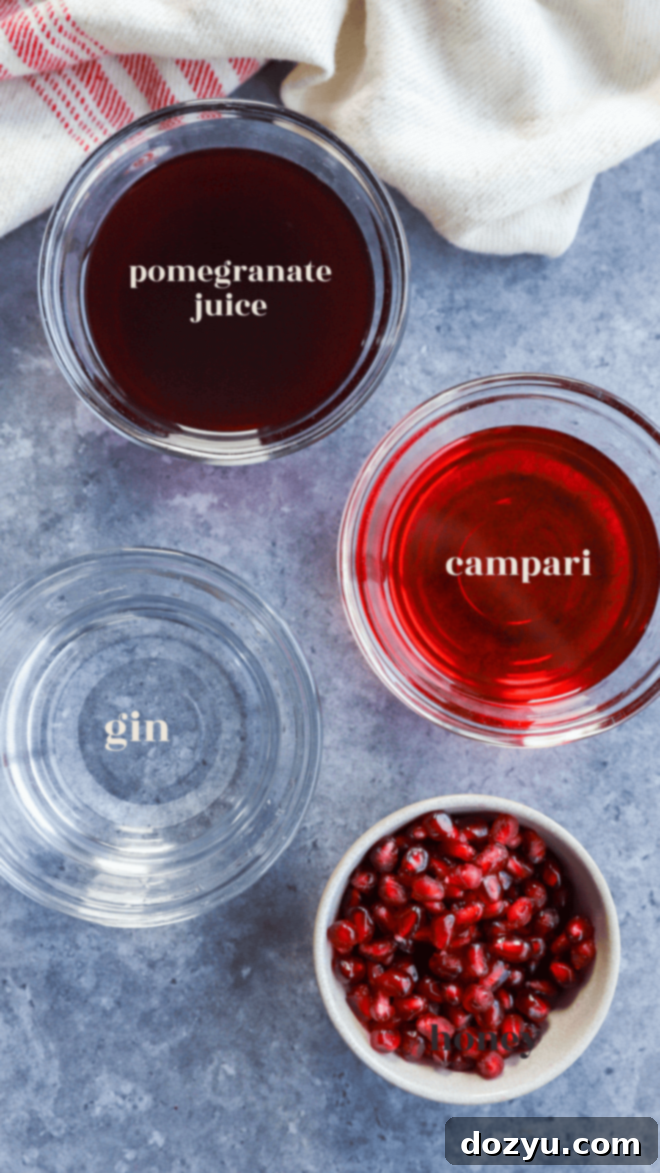 The Pomegranate Negroni 4 Arrangement of ingredients for a Pomegranate Negroni, including a bottle of gin, Campari, a bottle of pomegranate juice, and fresh pomegranate arils.