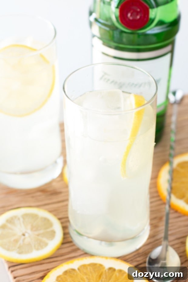 Zesty Citrus Tom Collins 4 Finished Citrus Tom Collins cocktail garnished with fresh citrus slices