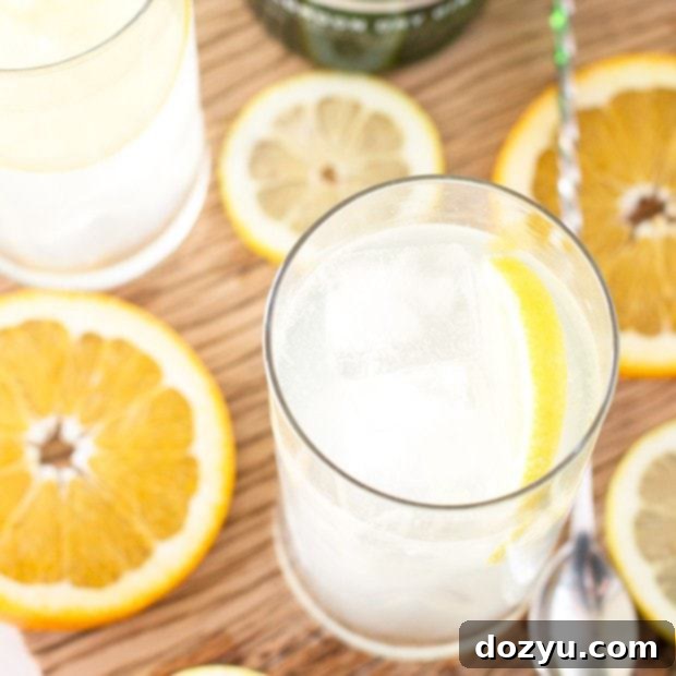 Zesty Citrus Tom Collins 5 Citrus Tom Collins cocktail with garnishes