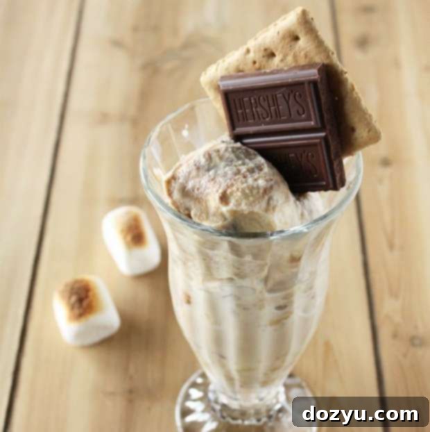 Decadent S'mores Gelato 2 S'mores Gelato with a spoon