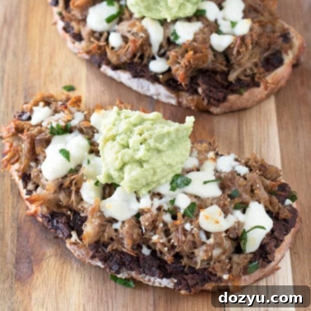 Fiesta Carnitas Toast 6 Mexican Pulled Pork Tartine (open-faced sandwich) | cakenknife.com