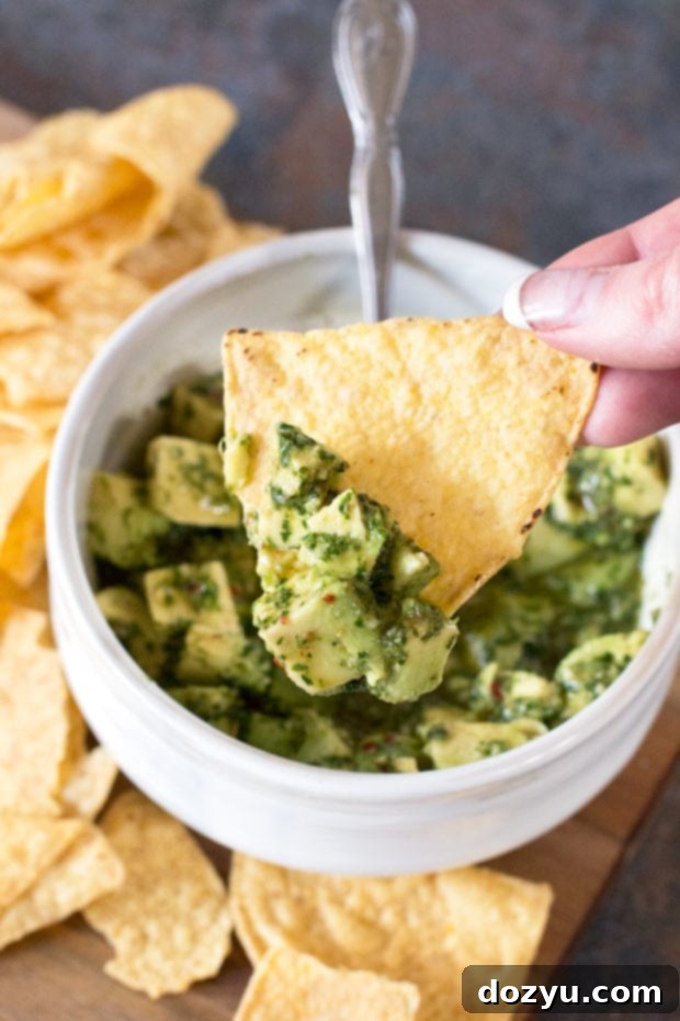 Creamy & Zesty Avocado Chimichurri 4 Spicy Avocado Chimichurri Salsa | cakenknife.com