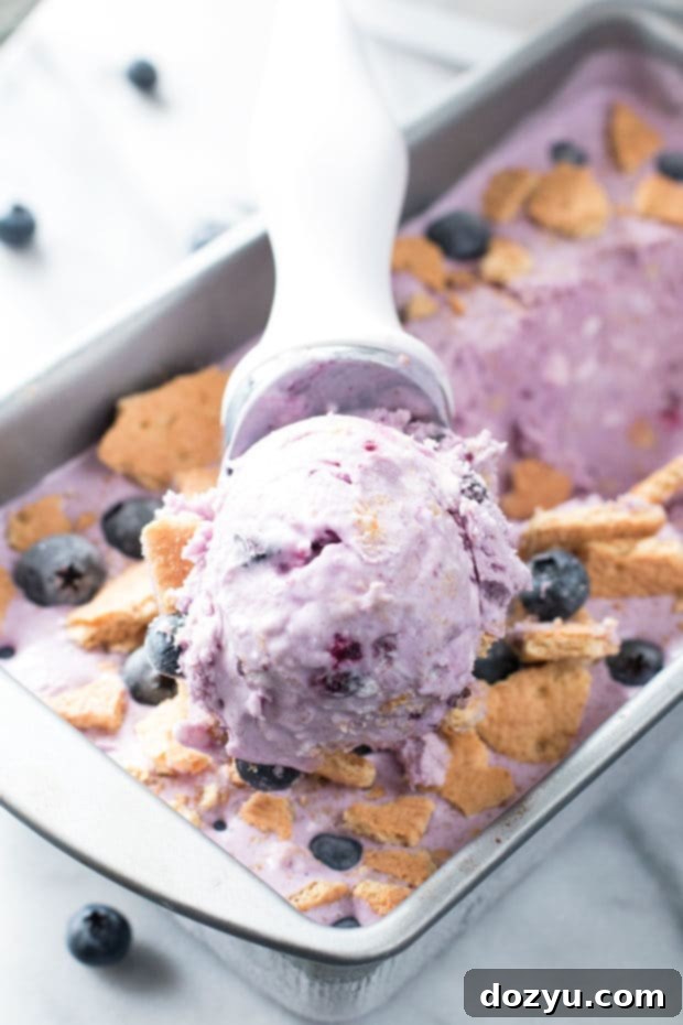 Dreamy Blueberry Cheesecake Ice Cream 3 Blueberry Cheesecake Ice Cream | cakenknife.com