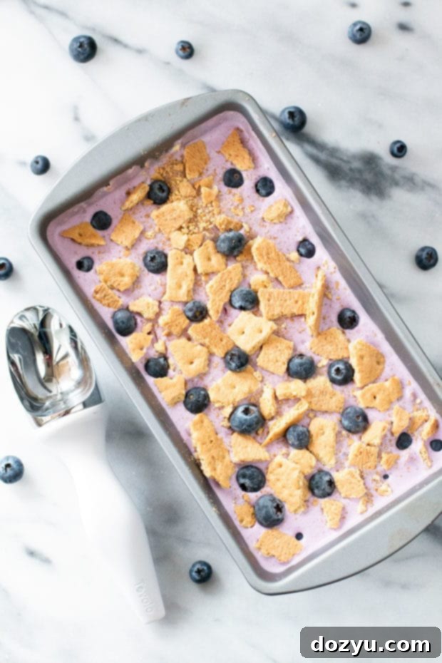 Dreamy Blueberry Cheesecake Ice Cream 4 Blueberry Cheesecake Ice Cream | cakenknife.com