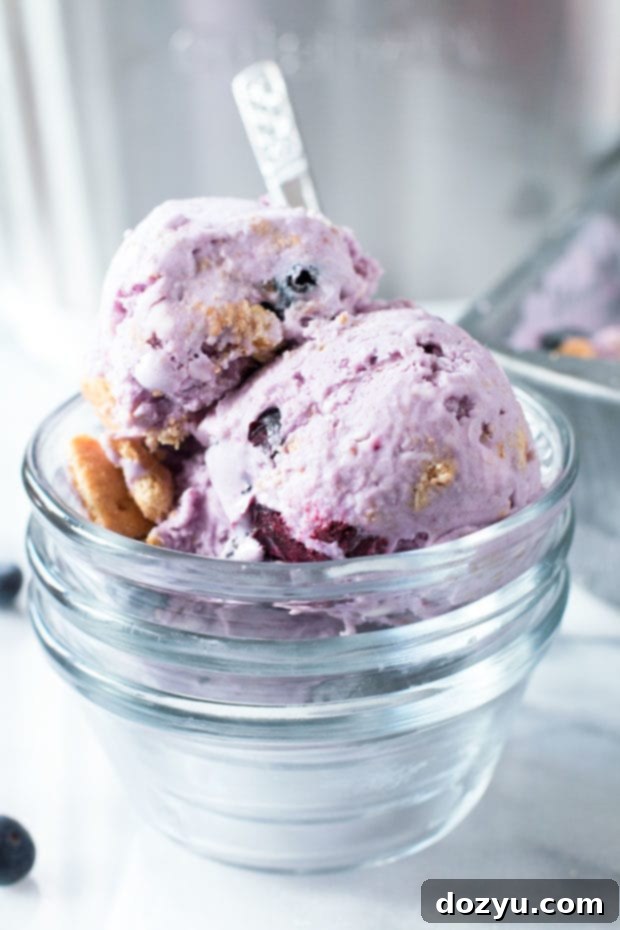 Dreamy Blueberry Cheesecake Ice Cream 5 Blueberry Cheesecake Ice Cream | cakenknife.com