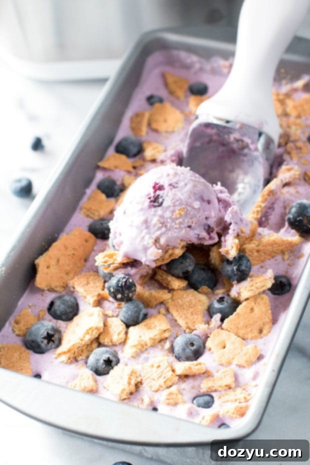 Dreamy Blueberry Cheesecake Ice Cream 7 Blueberry Cheesecake Ice Cream | cakenknife.com