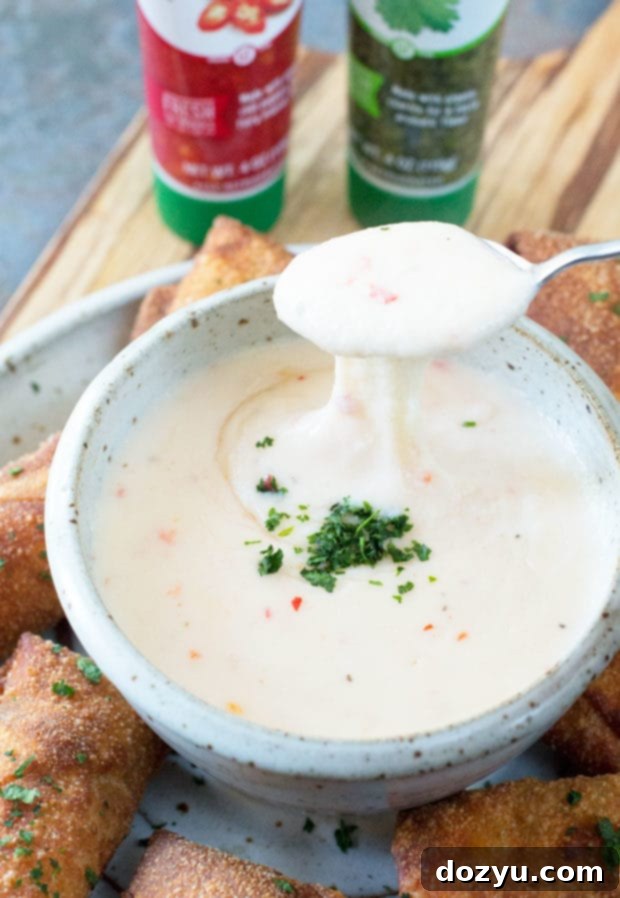 Crispy Chorizo Egg Rolls with Zesty Queso Dip 4 Ingredients for Chorizo Egg Rolls | cakenknife.com