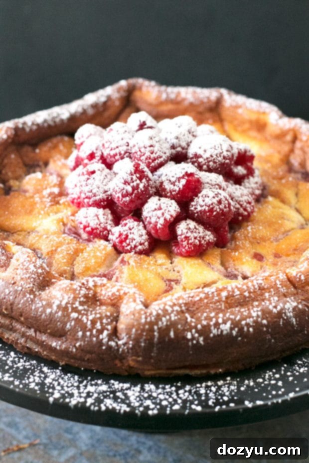 Luscious Raspberry Lemon Ricotta Cheesecake 2 Raspberry Lemon Ricotta Cheesecake | A light, fruity dessert that's easy to make without a water bath.