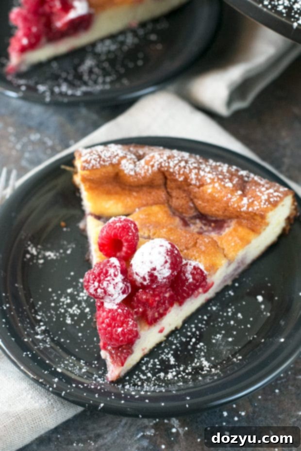 Luscious Raspberry Lemon Ricotta Cheesecake 4 Top-down view of Raspberry Lemon Ricotta Cheesecake garnished with fresh raspberries and powdered sugar.