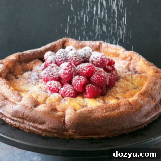 Luscious Raspberry Lemon Ricotta Cheesecake 6 Raspberry Lemon Ricotta Cheesecake | cakenknife.com