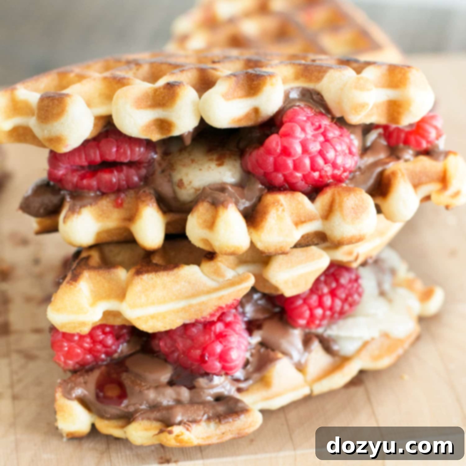 Sweet & Savory Raspberry Nutella Brie Waffle Sandwiches 8 Raspberry Nutella Brie Waffle Sandwiches recipe thumbnail image