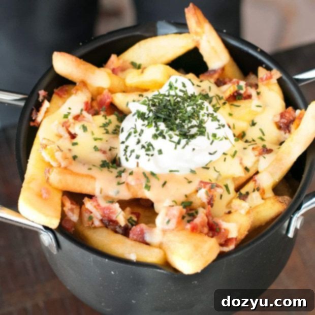 Fully Loaded Baked Potato Fries 7 Loaded Baked Potato Fries with cheese, bacon, and chives
