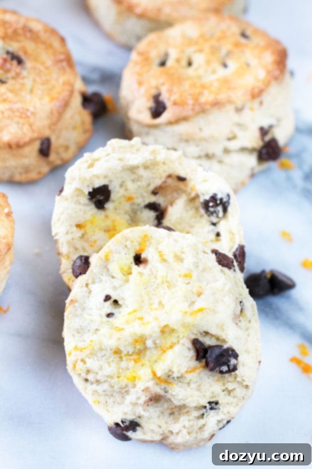 A close-up of a scone half, revealing the soft interior with melted dark chocolate chips and orange zest.