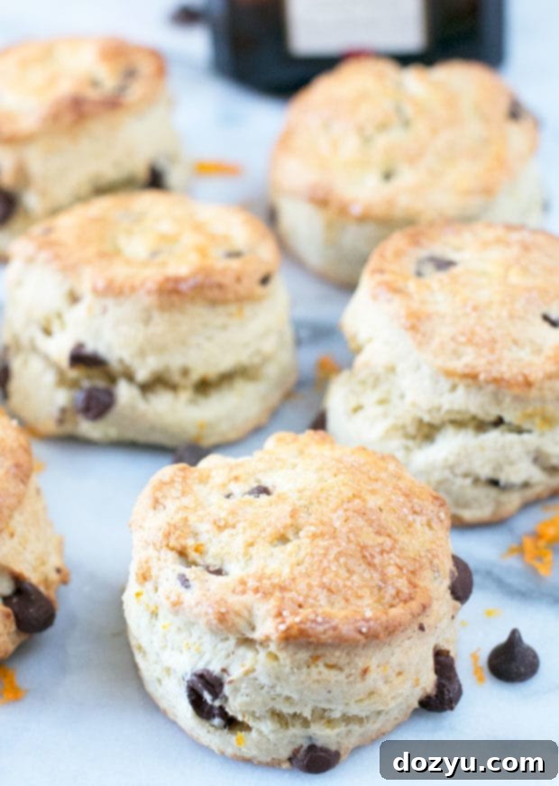 Freshly baked Orange Dark Chocolate Chip Scones on a cooling rack, glistening with turbinado sugar.