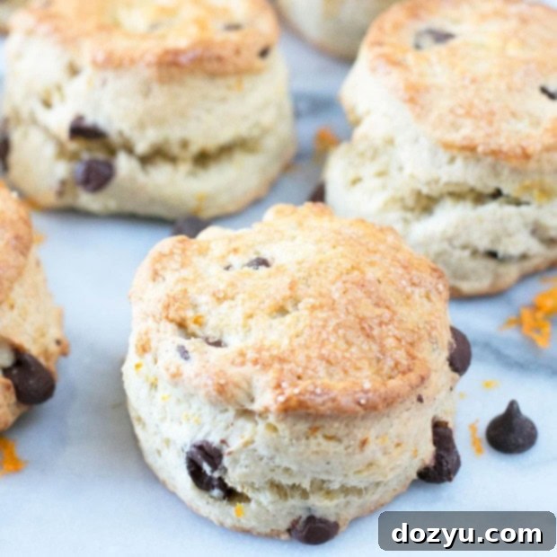 Zesty Orange Dark Chocolate Scones 8 Orange Dark Chocolate Chip Scones | cakenknife.com