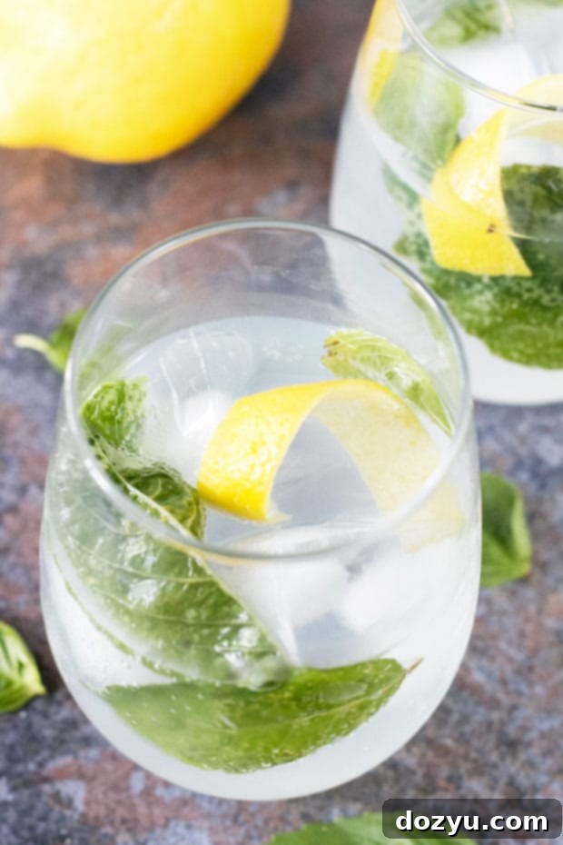 Refreshing Lemon Basil Gin & Tonic 3 Close-up of a Lemon Basil Gin & Tonic, highlighting the fresh lemon slices and basil leaves.