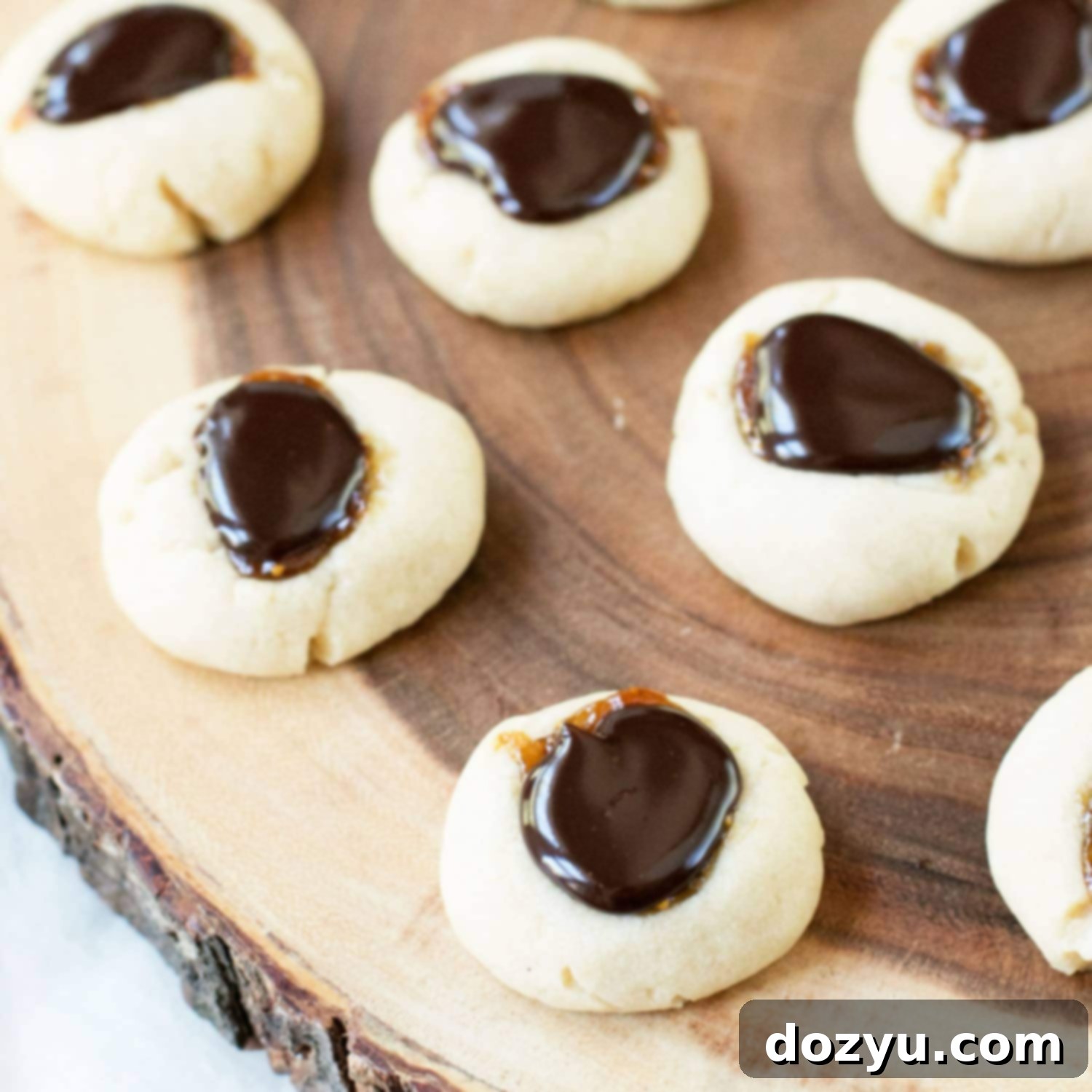 Decadent Chocolate Fig Thumbprints 5 Chocolate Fig Thumbprint Cookies | cakenknife.com