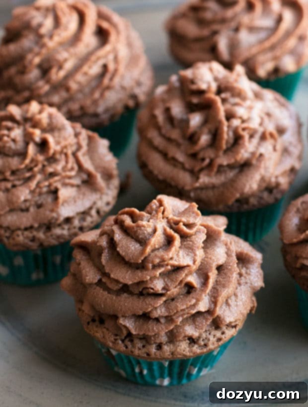 Rich Chocolate Stout Cupcakes topped with fluffy Chocolate Bourbon Frosting
