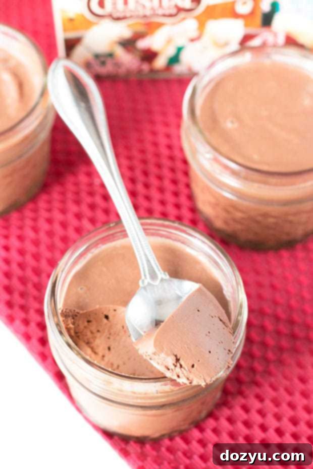 Peppermint Chocolate Velvet Cups 8 Chocolate Peppermint Pots de Creme | cakenknife.com