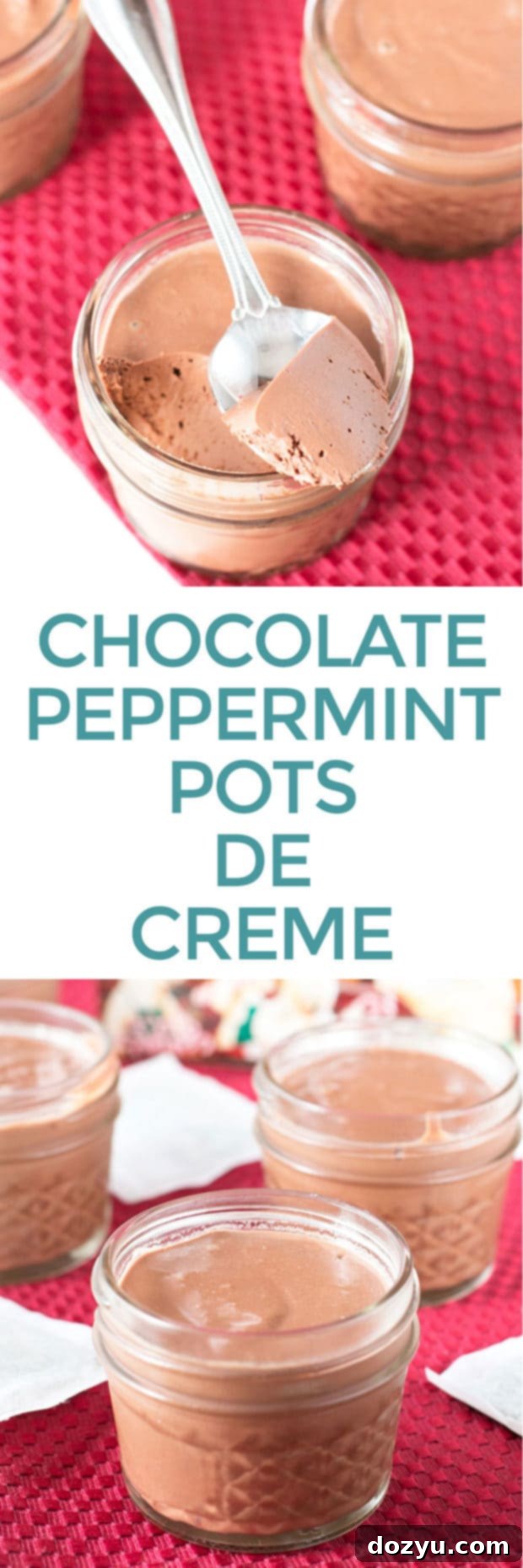 Chocolate Peppermint Pots de Creme recipe pin for Pinterest | cakenknife.com