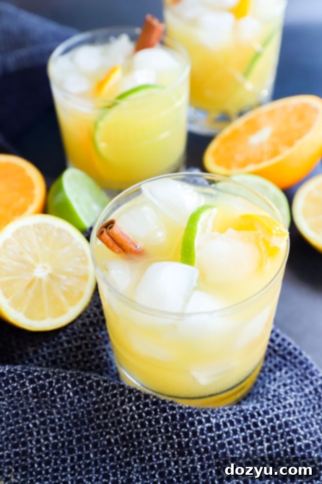 Spiced Rum Fiesta 6 spiced rum punch in glasses with fresh citrus fruit