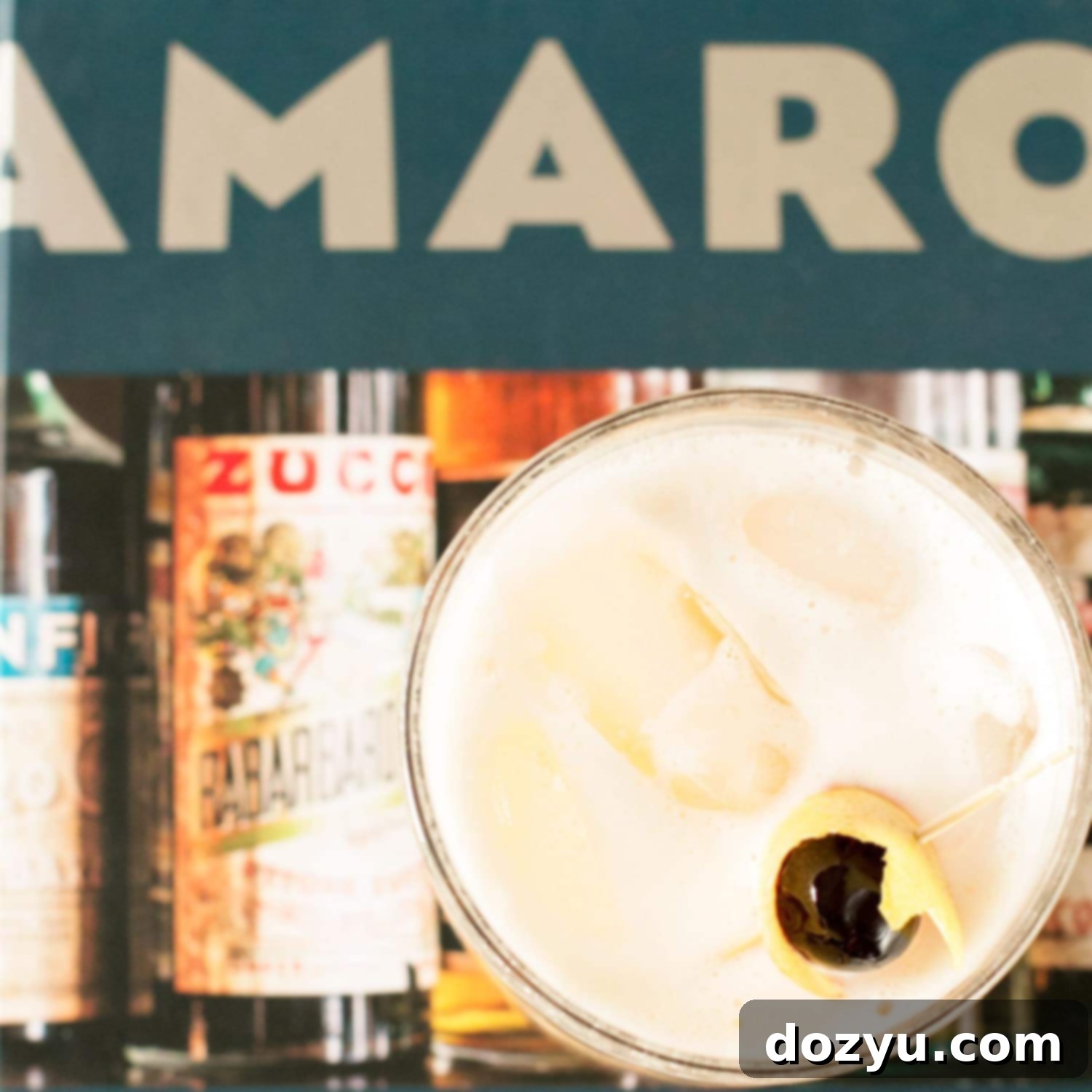 Bitter Citrus Delight 6 Cookbook Review: Amaro + the Amaro Sour Cocktail | cakenknife.com - Thumbnail image of an Amaro Sour cocktail