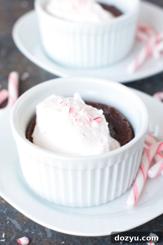 Gooey Dark Chocolate Cakes with Peppermint Crunch Whipped Cream | cakenknife.com
